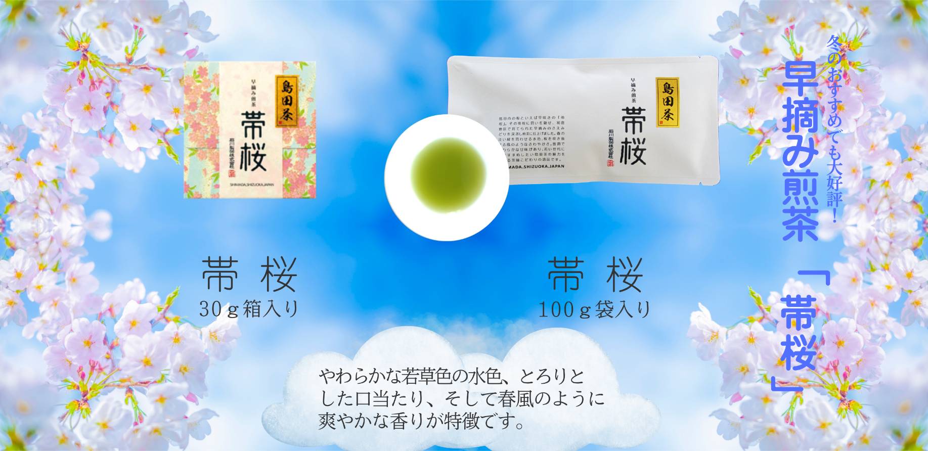 早摘み煎茶「帯桜」