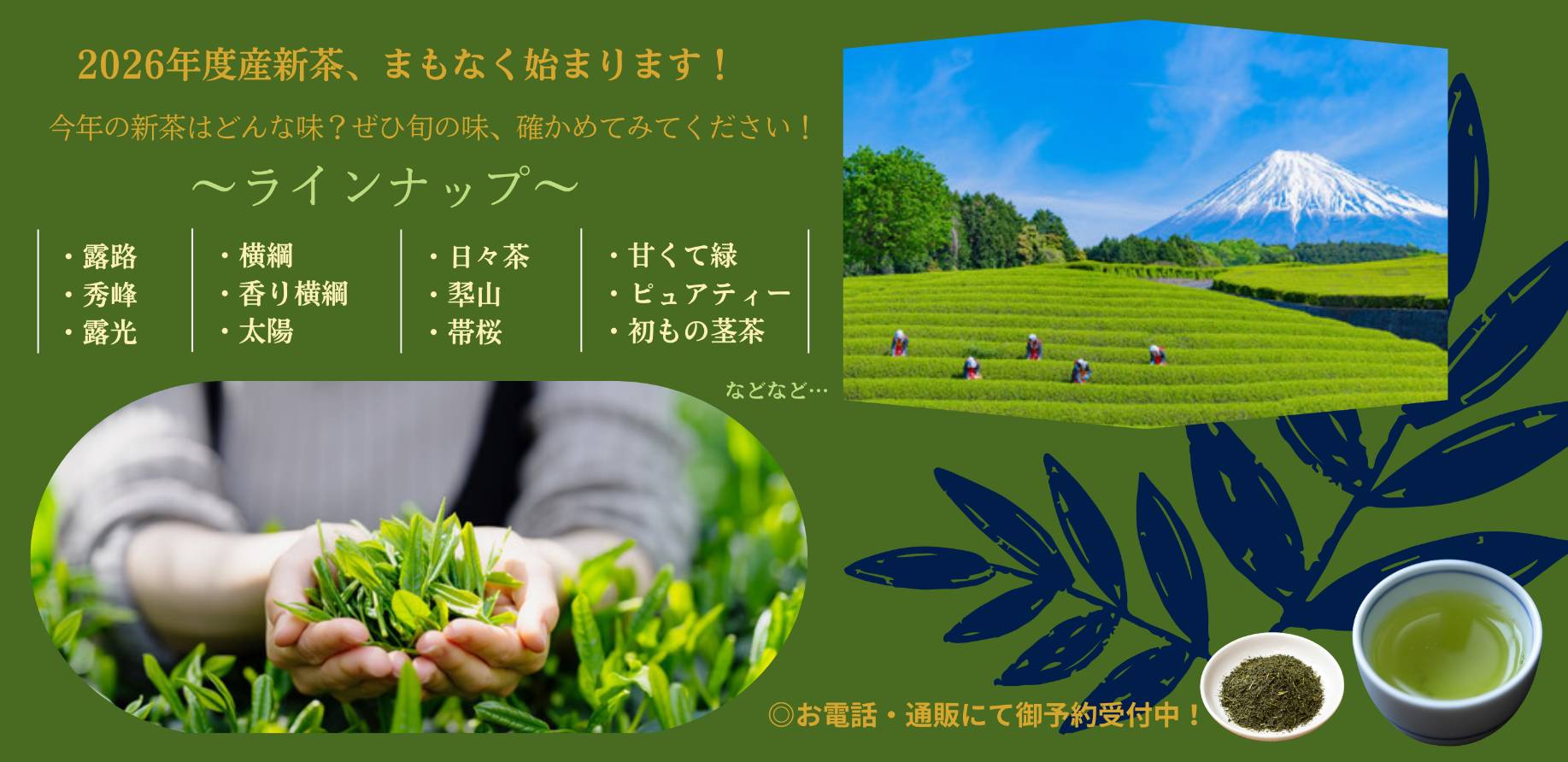 2026年度新茶まもなく始まります！